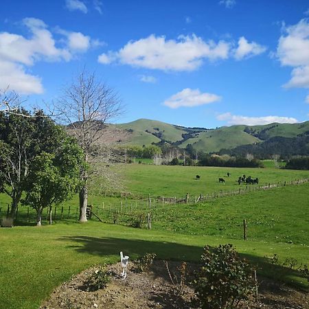 Paeroa Pukeko Lodge المظهر الخارجي الصورة