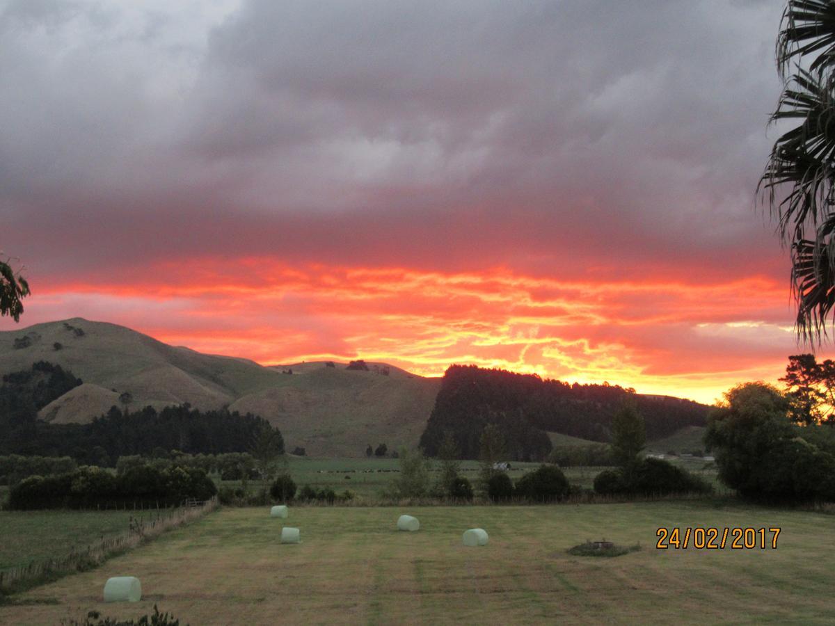 Paeroa Pukeko Lodge المظهر الخارجي الصورة