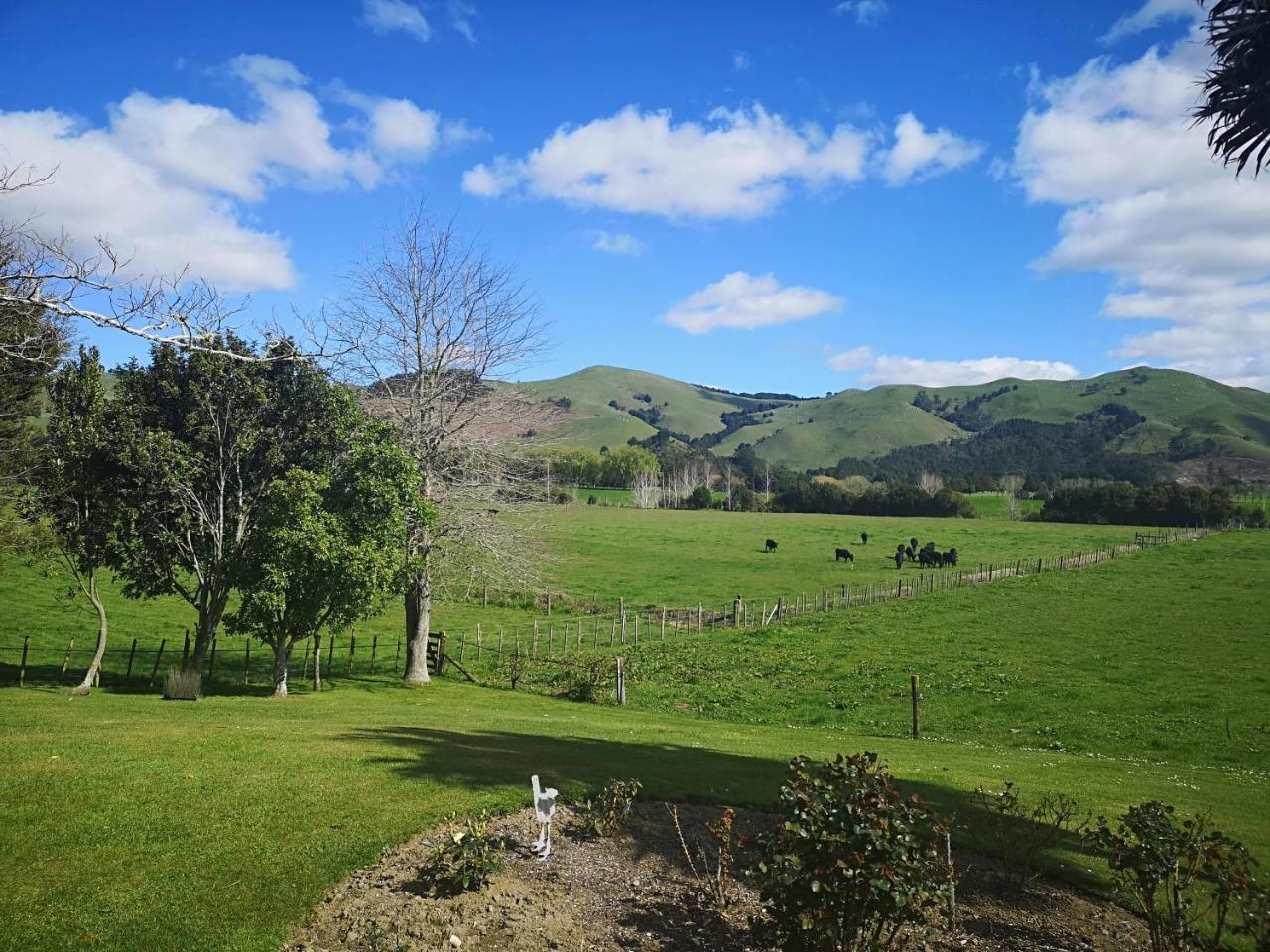 Paeroa Pukeko Lodge المظهر الخارجي الصورة